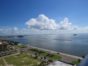 IMG_0229